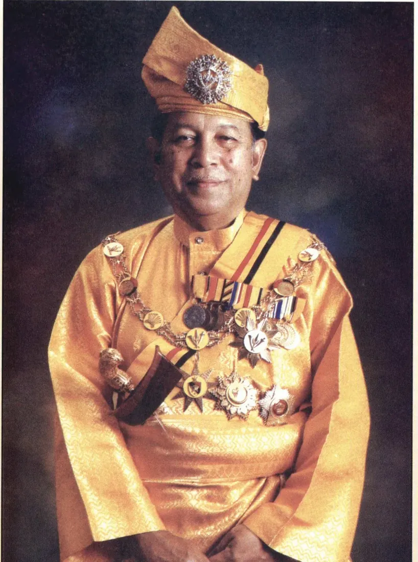 Potret rasmi Tuanku Ja'afar, Yang di-Pertuan Besar kesepuluh dan Yang di-Pertuan Agong ke-10.